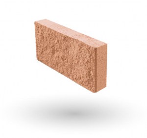 SALMÓN
